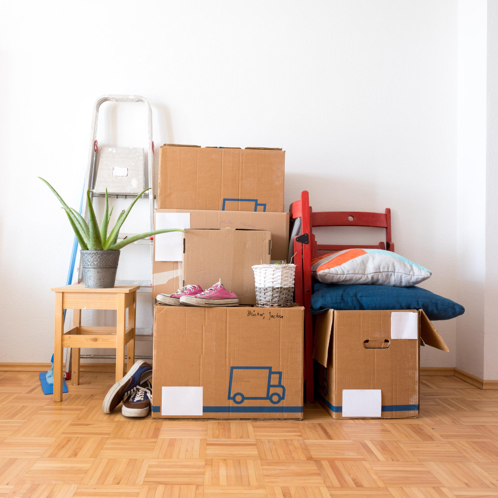 Move cardboard boxes cleaning things stuff moving into new clean bright home