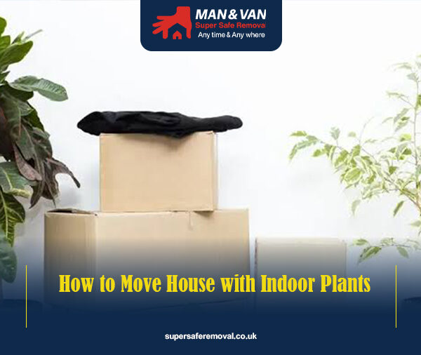 How to move house with plants