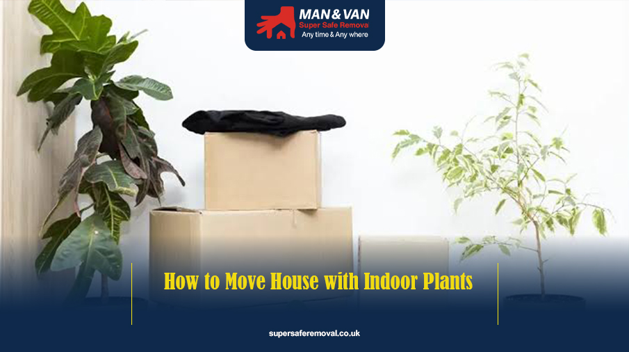 How to move house with plants