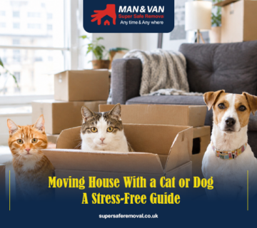 Moving house with pets